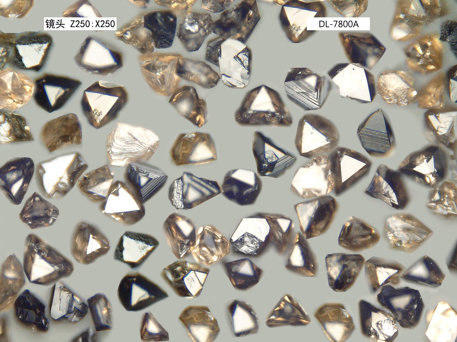 DL-7800A    CBN單晶