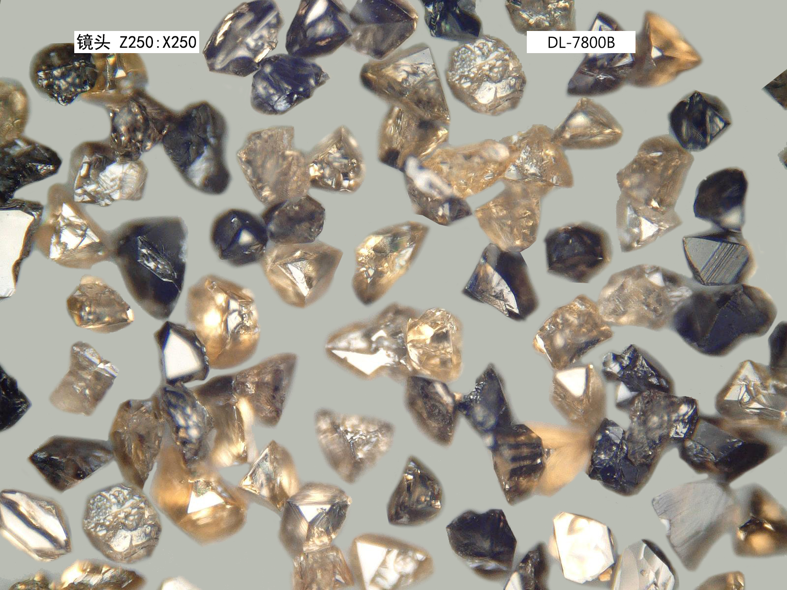 DL-7800B    CBN單晶